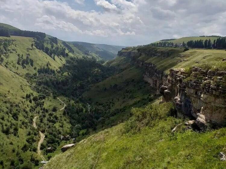 Фото Автопутешествие к альпакам, орлам и медведю