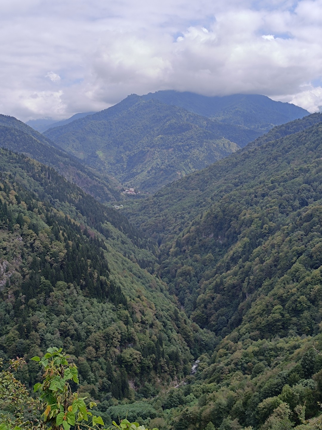 Батуми и Горная Аджария за 1 день (Татьяна)