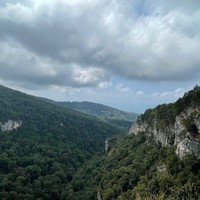 reviews img