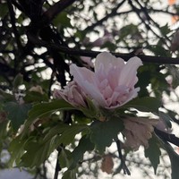 reviews img