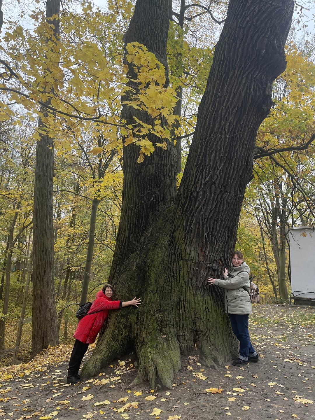 Амалиенау - в поисках Кёнигсберга (Анастасия)