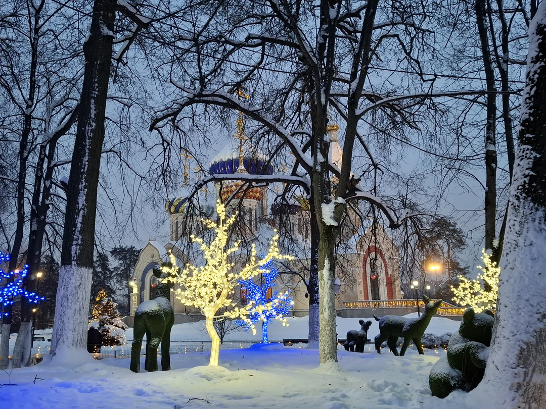 Отличная прогулка по Переделкино, которая сопровождалась интересным и увлекательным рассказом об истории поселка и ее жителях