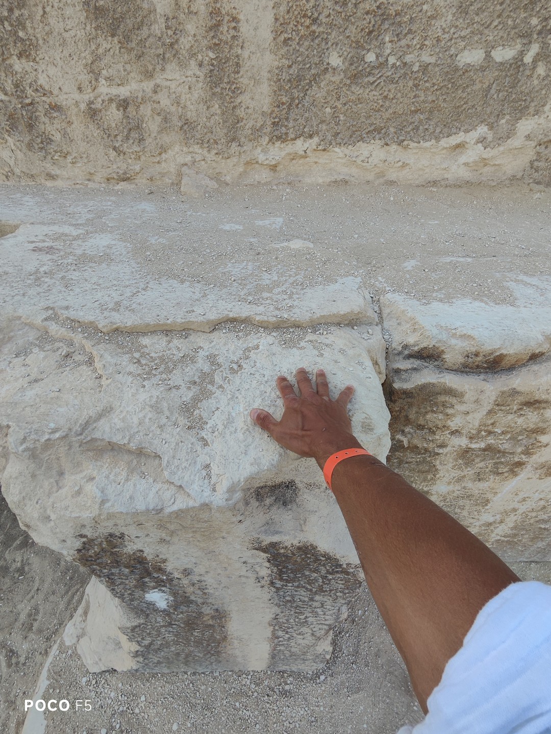 В сердце Древнего Египта: из Шарм-эль-Шейха в Каир (Илья)