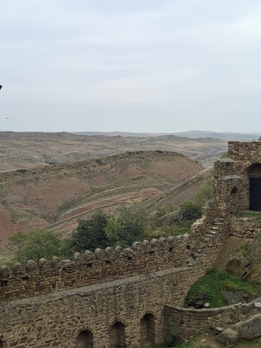 По пустыне Удабно - к Радужным горам и комплексу Давид-Гареджи (Юлия)