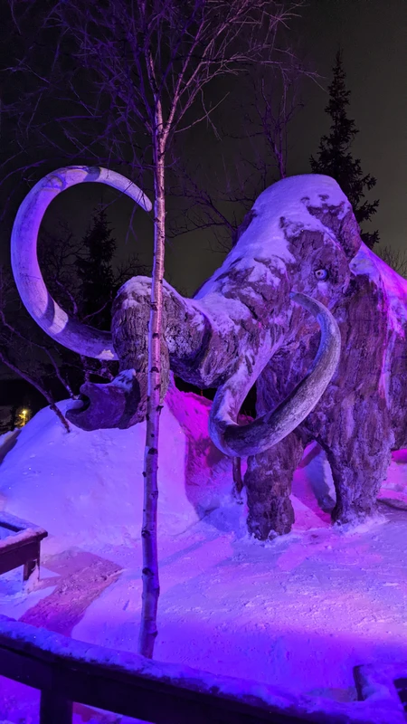 Заснеженные вершины Кольского: индивидуальный горнолыжный отдых за полярным кругом