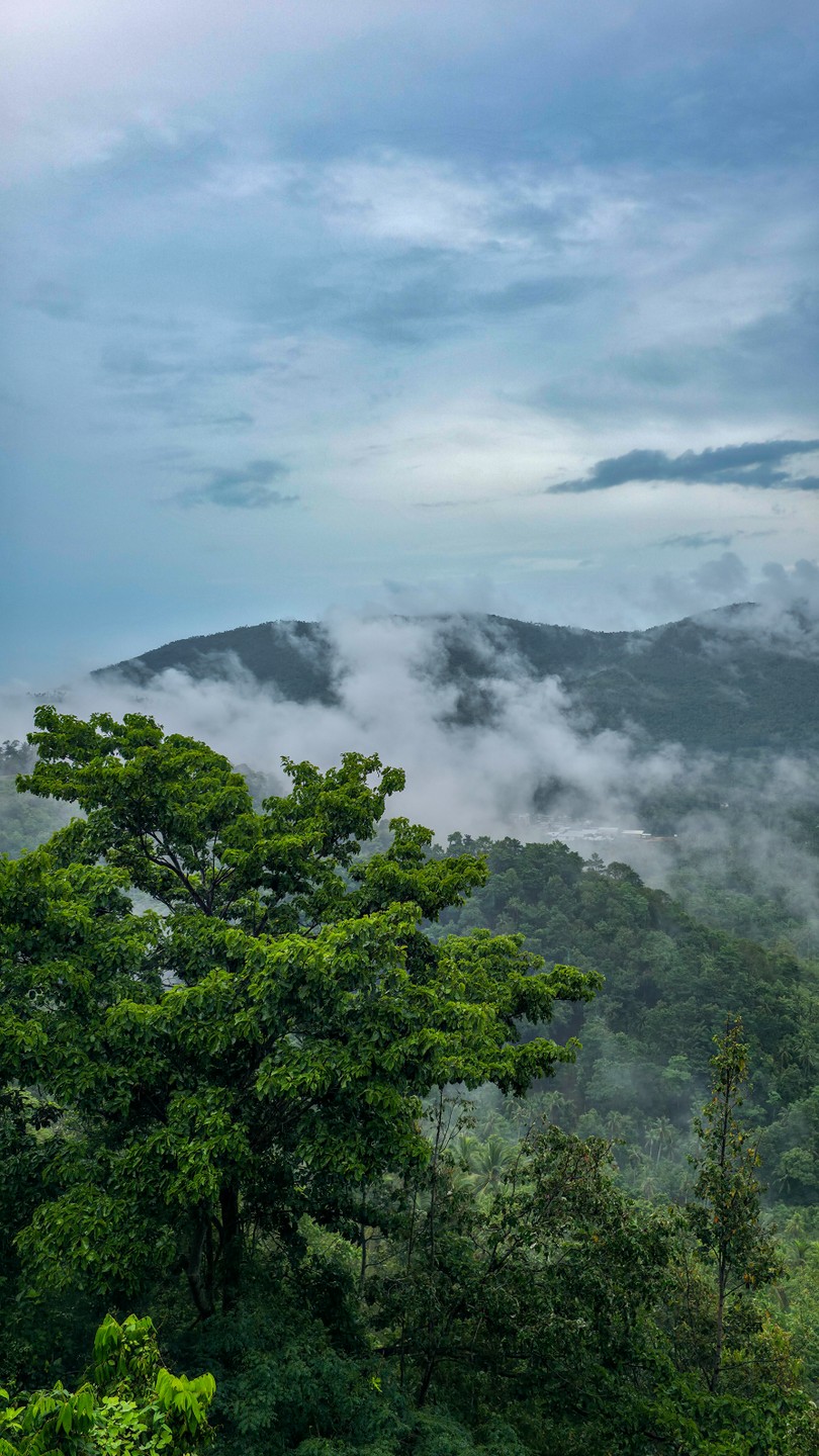 Обзорная экскурсия по Самуи (Ольга)