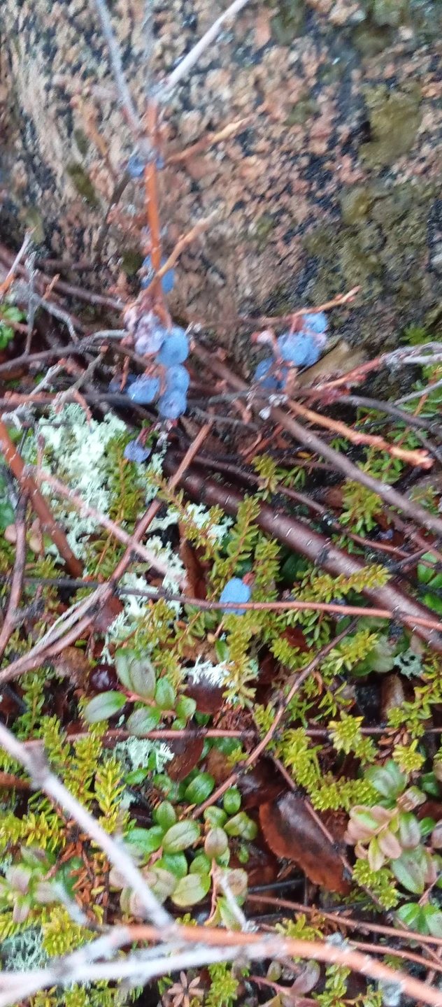 Огромное спасибо экскурсоводу Виктору! Всю дорогу рассказывал историю края, особенности ландшафта, местности. Всё что в программе