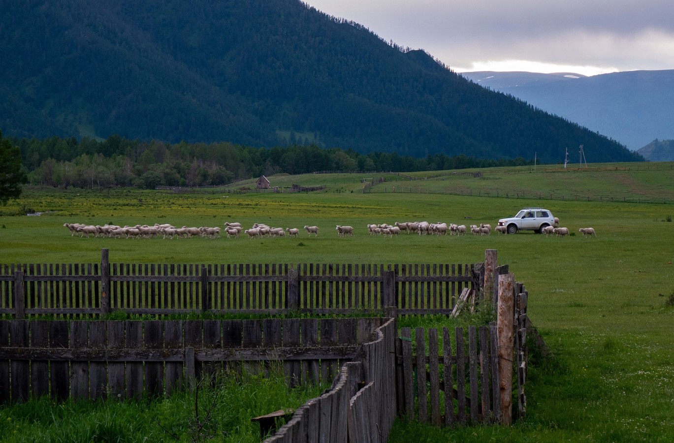 Этнотур по Алтайскому краю и Республике Алтай: всё включено