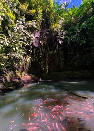 Фото отзыва 1: экскурсия "Бали: водопады в джунглях и древний храм"