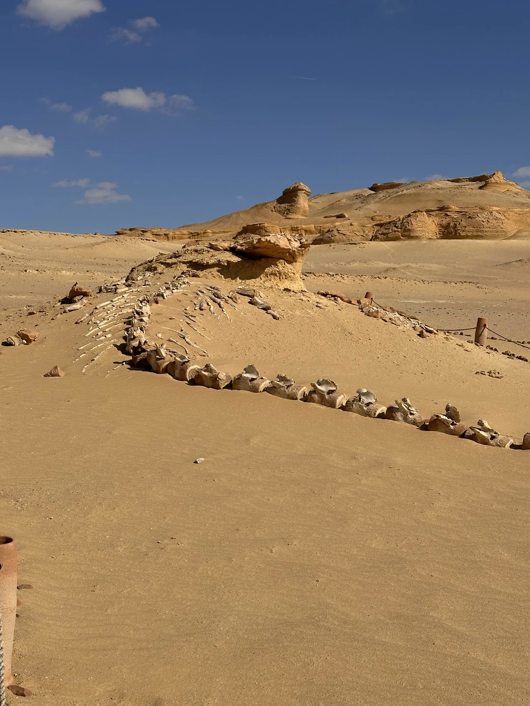 Очень понравилась экскурсия с элементами экстрима в виде катания на сент борде по барханам и экстремального