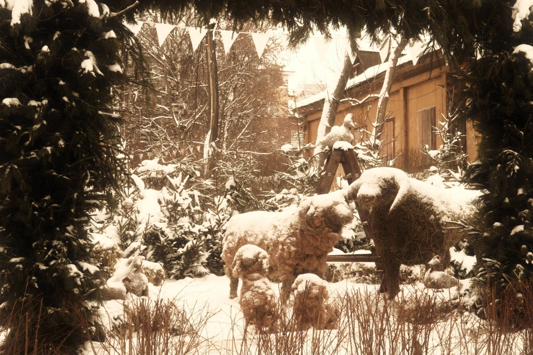 Другой Нижний: непарадные улицы, деревянные кварталы, стрит-арт (Андрей)