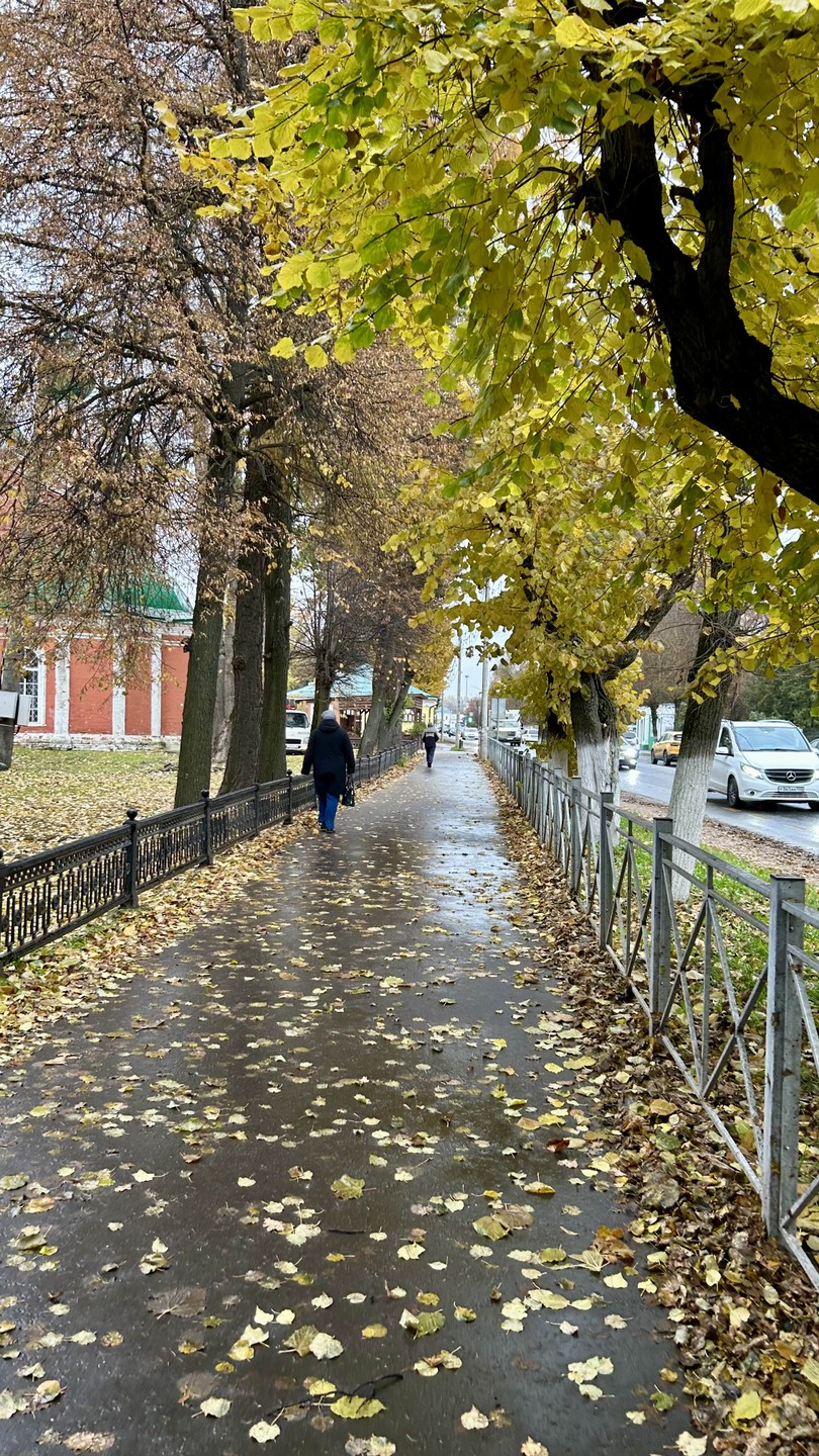 Нам очень понравилась экскурсия с Ольгой Евгеньевной! Невероятная подача, обширные знания и просто очень приятное общение