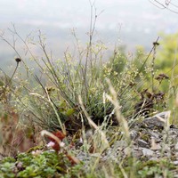 Фото отзыва 8: экскурсия "Подъём на гору Змейка"