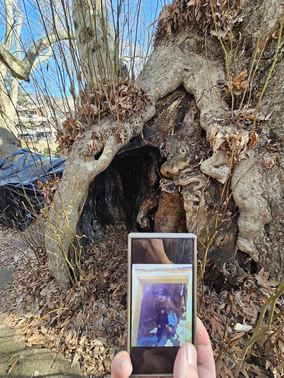 Экскурсию нам проводил гид Игорь 22 февраля. Экскурсия была очень интересная, познавательная, проведена с юмором. Человек