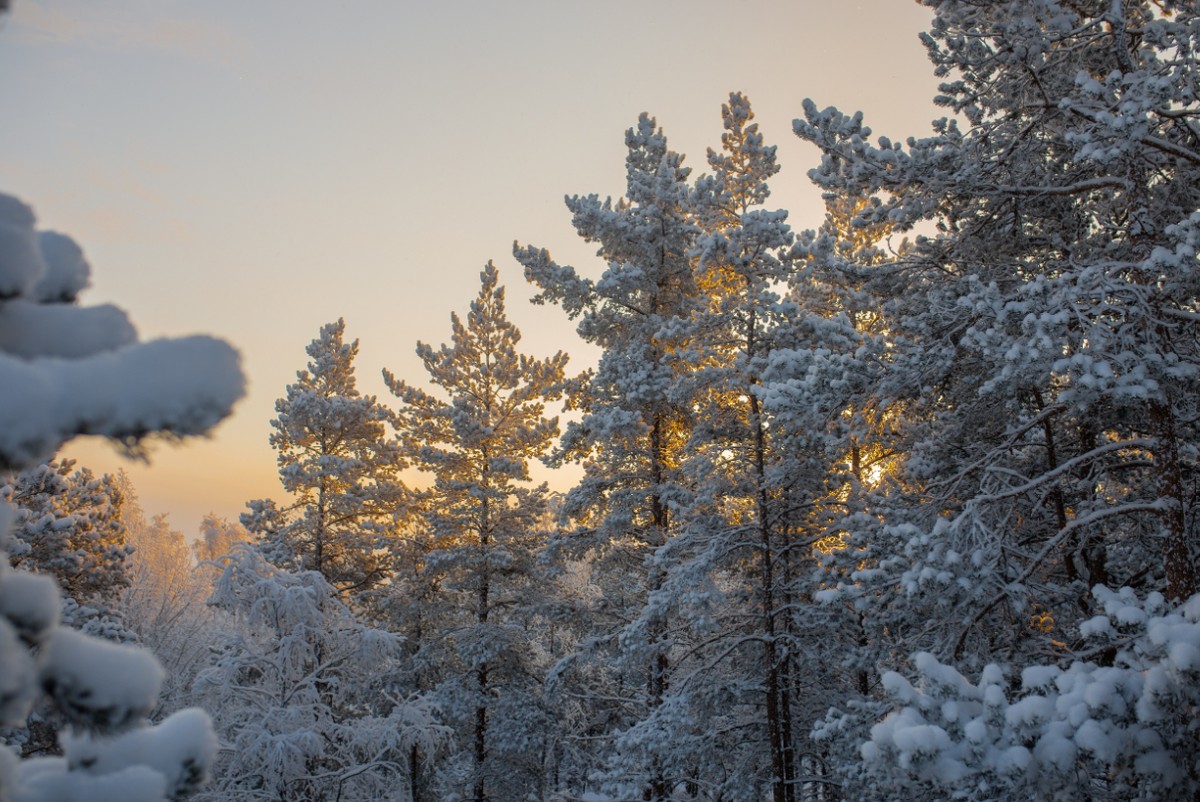 Главное изображение экскурсии - Карелии зимний узор. Индивидуальный тур «всё включено»