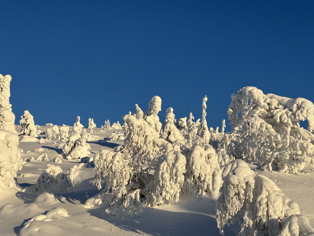 Если вы хотите погрузиться в настоящую зимнюю сказку и увидеть своими глазами красоту Русского Севера, вам