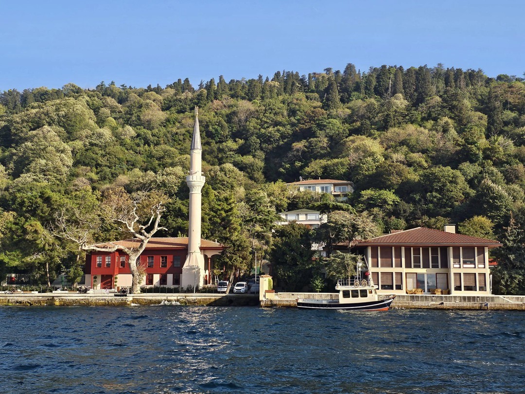 В сердце Стамбула с профессиональным гидом (Iryna)