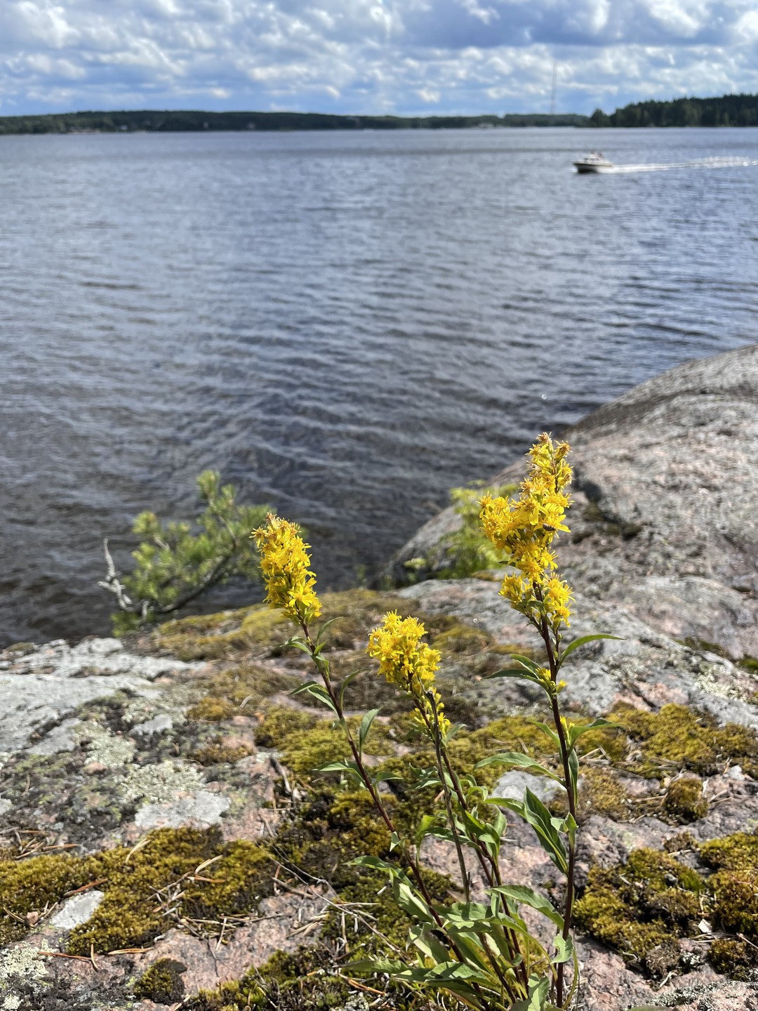 Благодаря пятичасовому лодочному походу с Александрой попробовали силы в гребле (обратный путь для новичка оказался труден,