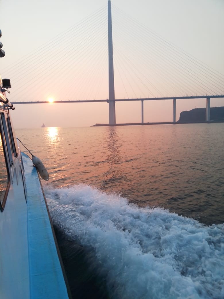 Морское приключение во Владивостоке: мыс Тобизина, котики и морепродукты (Александра)