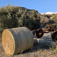 Фото отзыва 3: экскурсия "Поездка по Кипру с записью видеоклипа"