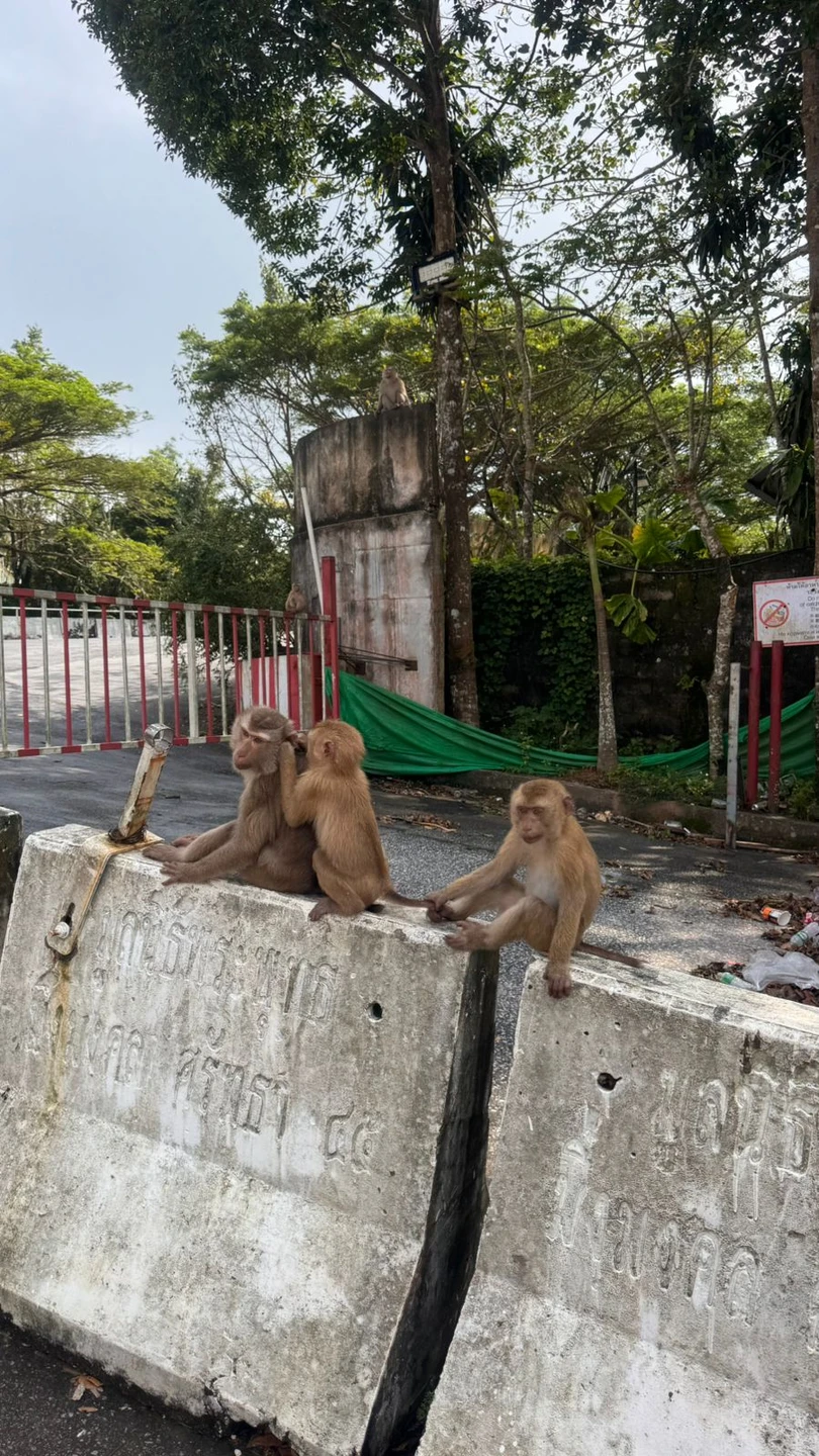 Очень понравилось как Ярослав провел экскурсию. Были впечатлены обзорными площадками, показал интересные улочки в старом городе
