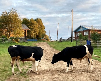 Прогулка по загадочной деревне Азаполье