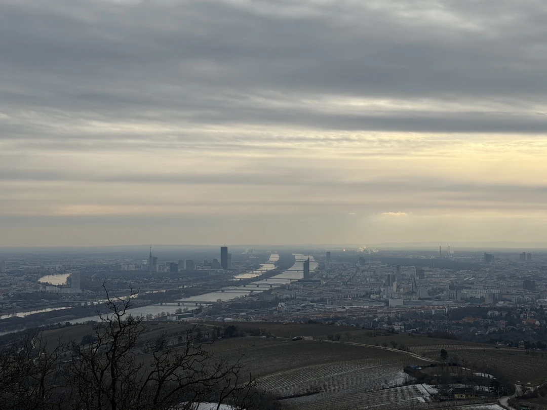 Побывали на обзорной экскурсии по Вене и остались очень ею довольны, которую профессионально провел для нас