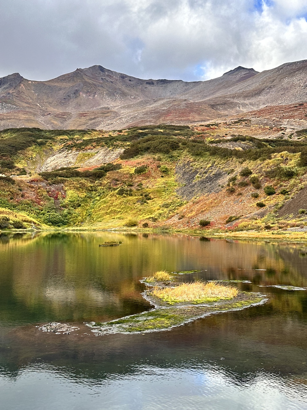 Первый раз в жизни побывали на Камчатке. Выбрали экскурсию на Дачные источники и не пожалели. Отличный