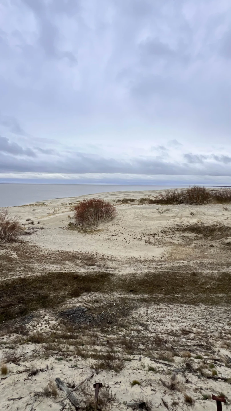 Очень довольна сегодняшним днем, получила массу положительных эмоций и впечатлений. Дмитрий очень интересно рассказывает, все было