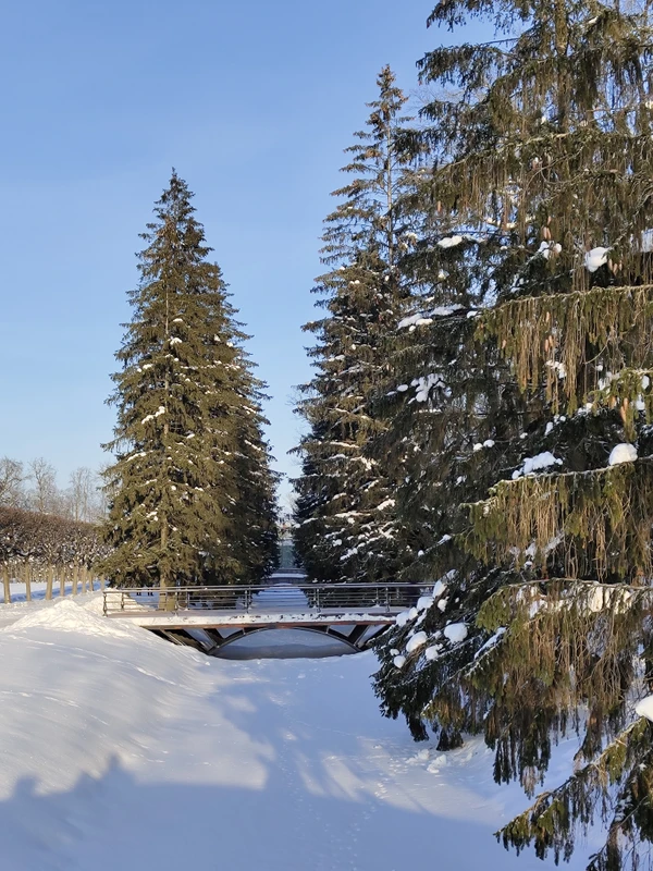 Сказочный Екатерининский парк - на электричке из Петербурга