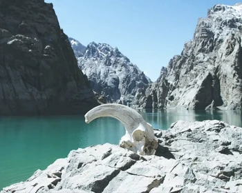 Пикник у озера и переезд в Нарын