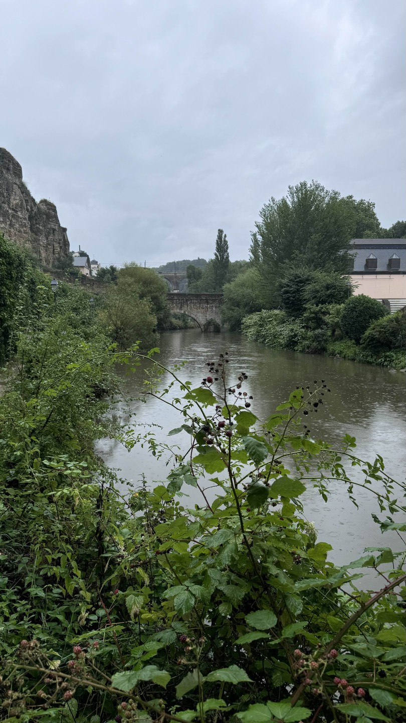 Обзорная экскурсия по Люксембургу (Kristina)