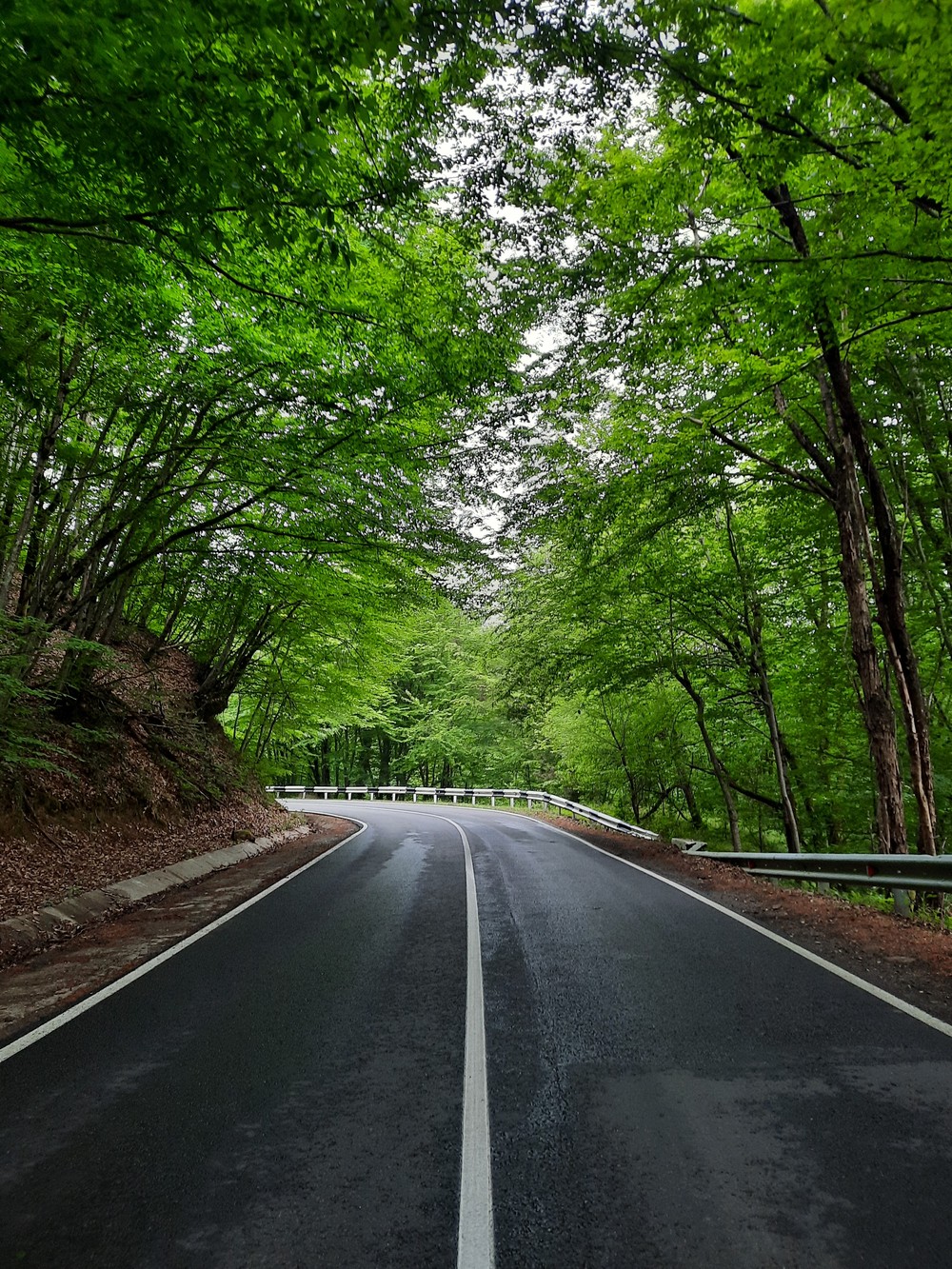 От ж/д вокзала до забытого сероводородного источника (6/10)