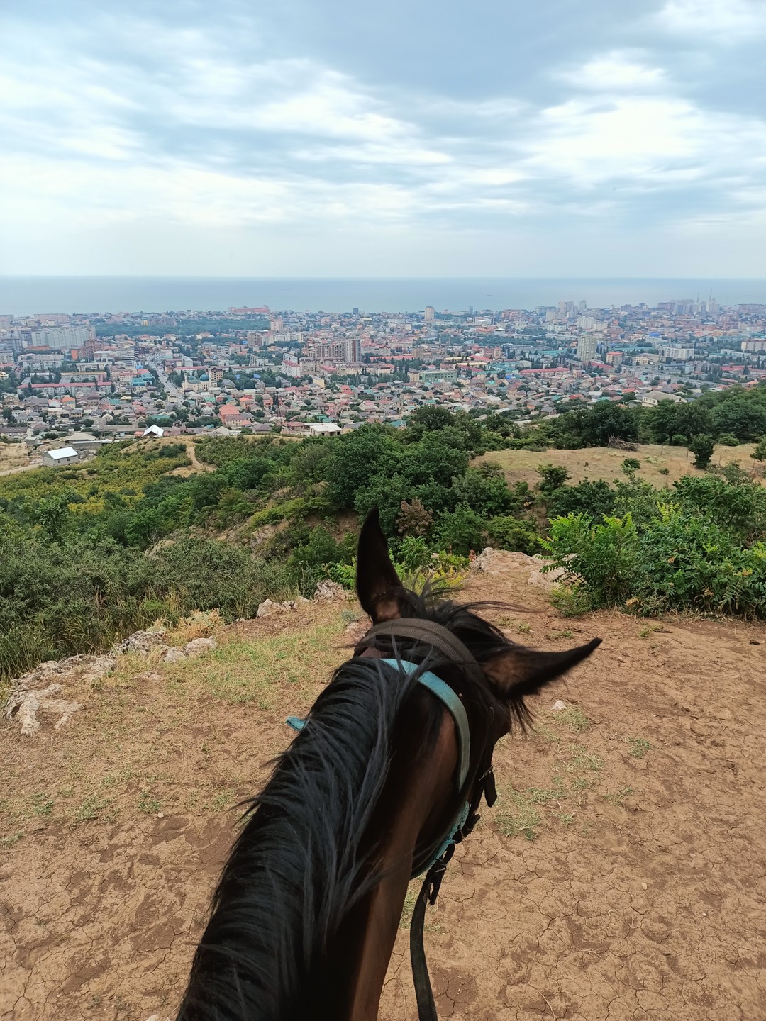 Мы идём с конём: прогулки на лошадях в Агачауле (Филимонова)