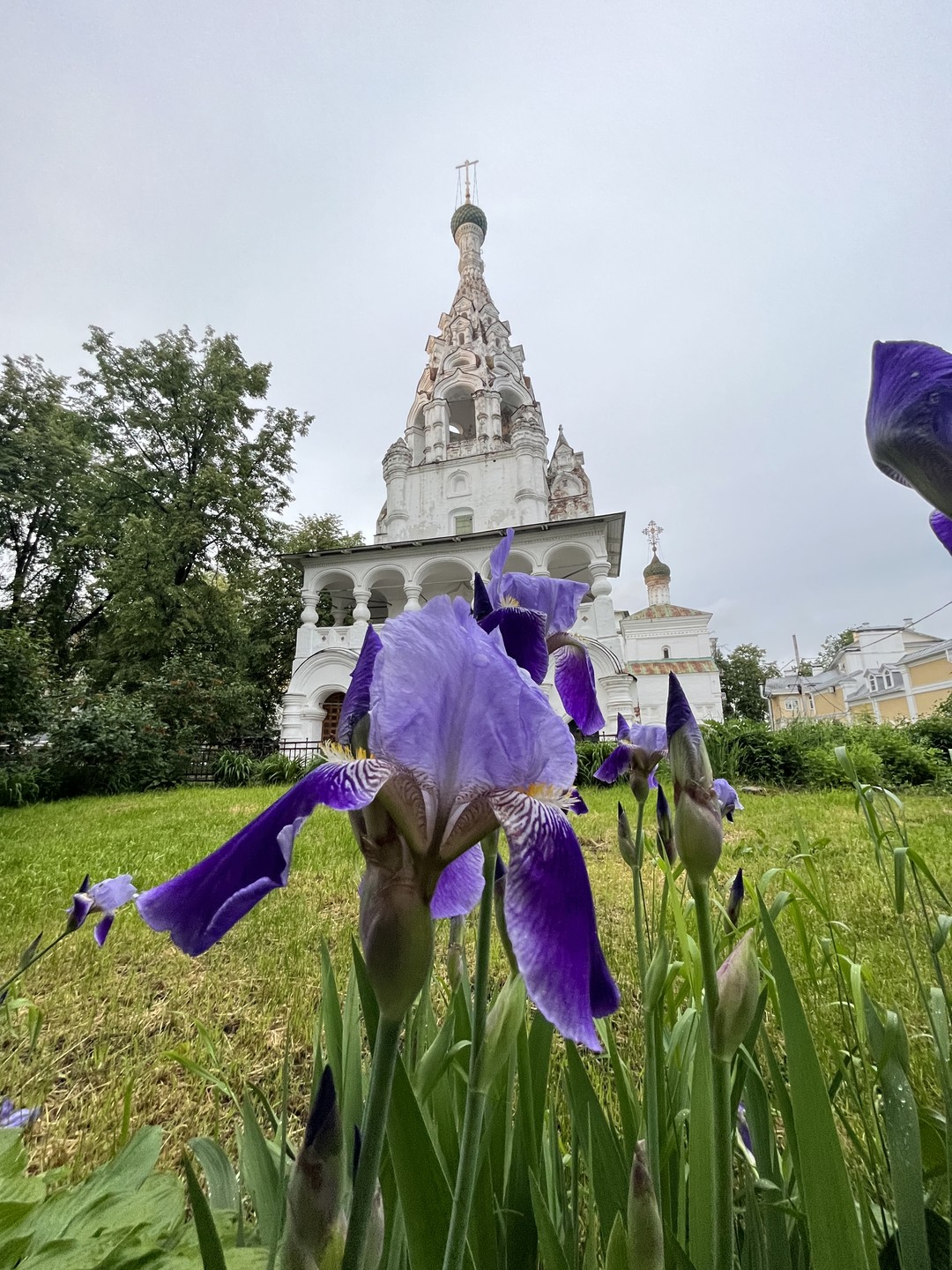 Ярославль - древний город символов (Мария)