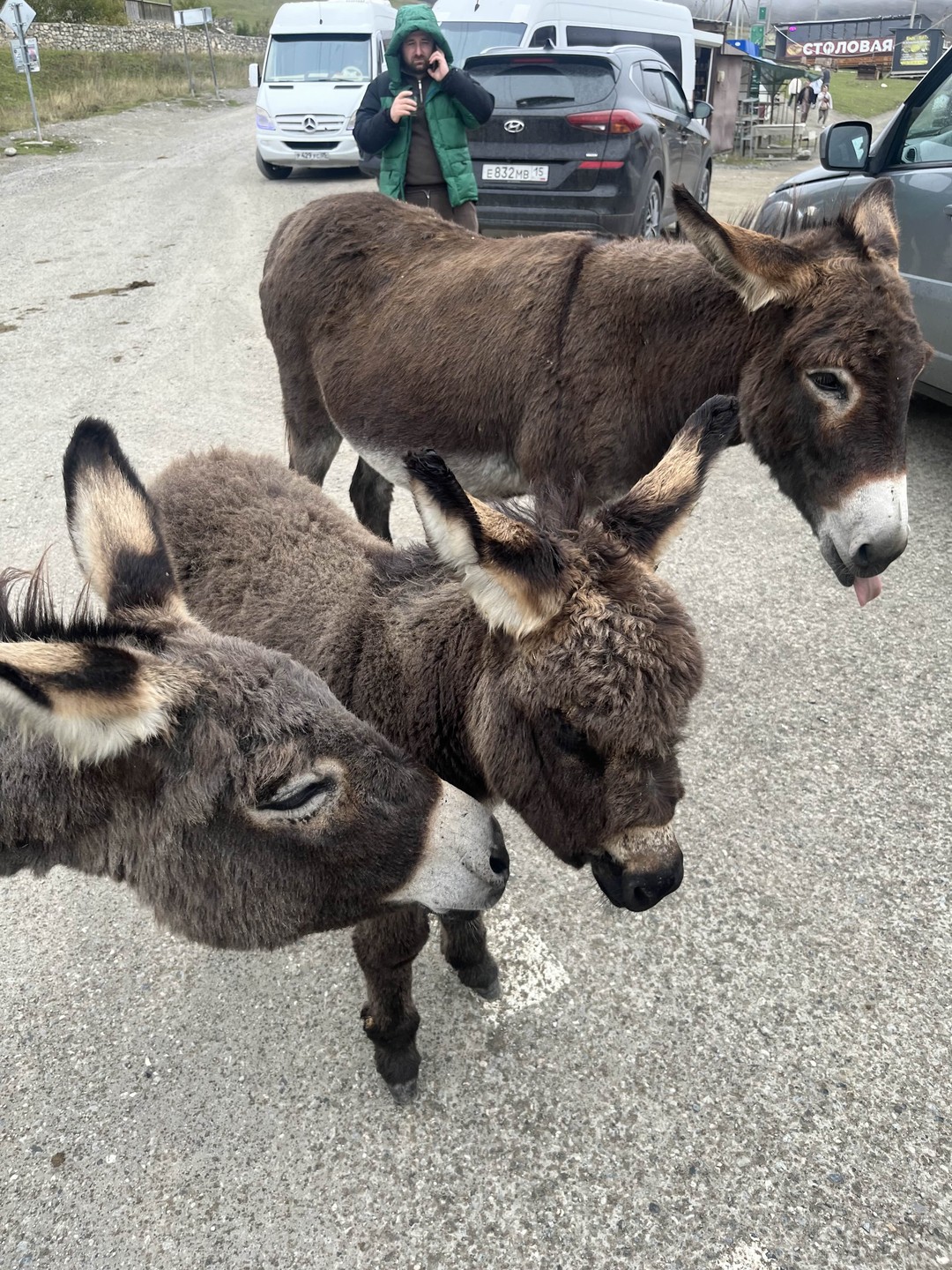 Экспресс-поездка к двум ущельям Северной Осетии (Надежда)