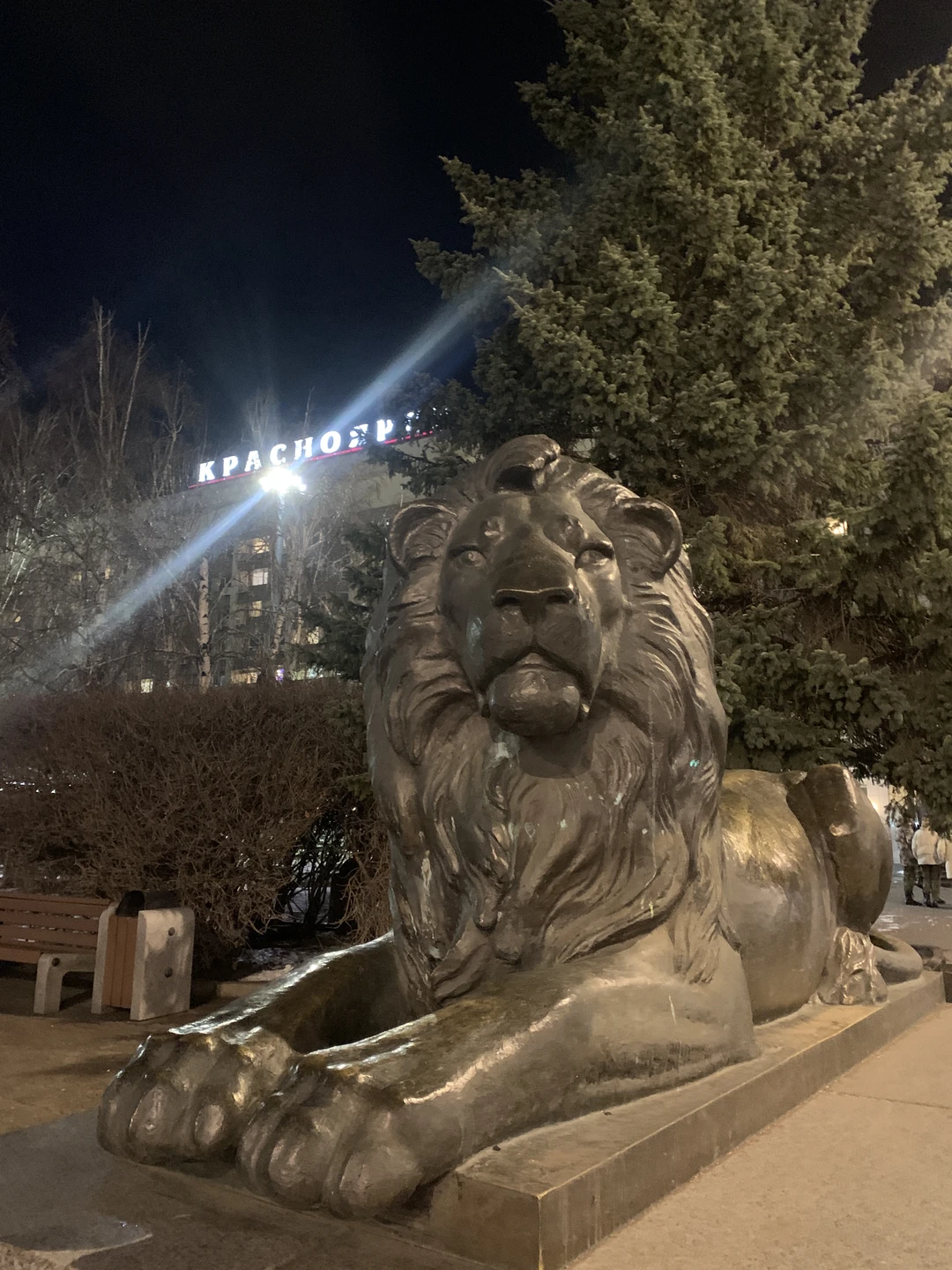 Приехала в командировку на 2 дня. Очень обрадовалась увидев экскурсию вечером. Несмотря на зимнее и позднее