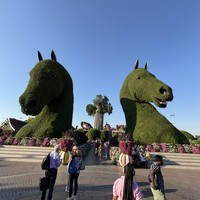 reviews img