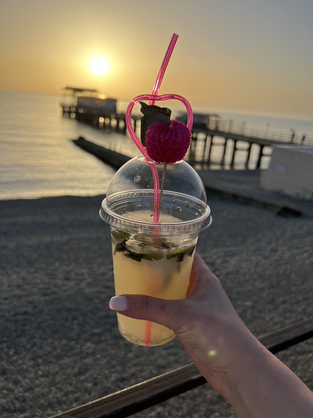 Мастер-класс по приготовлению коктейлей в Сочи (18+) (9/12)