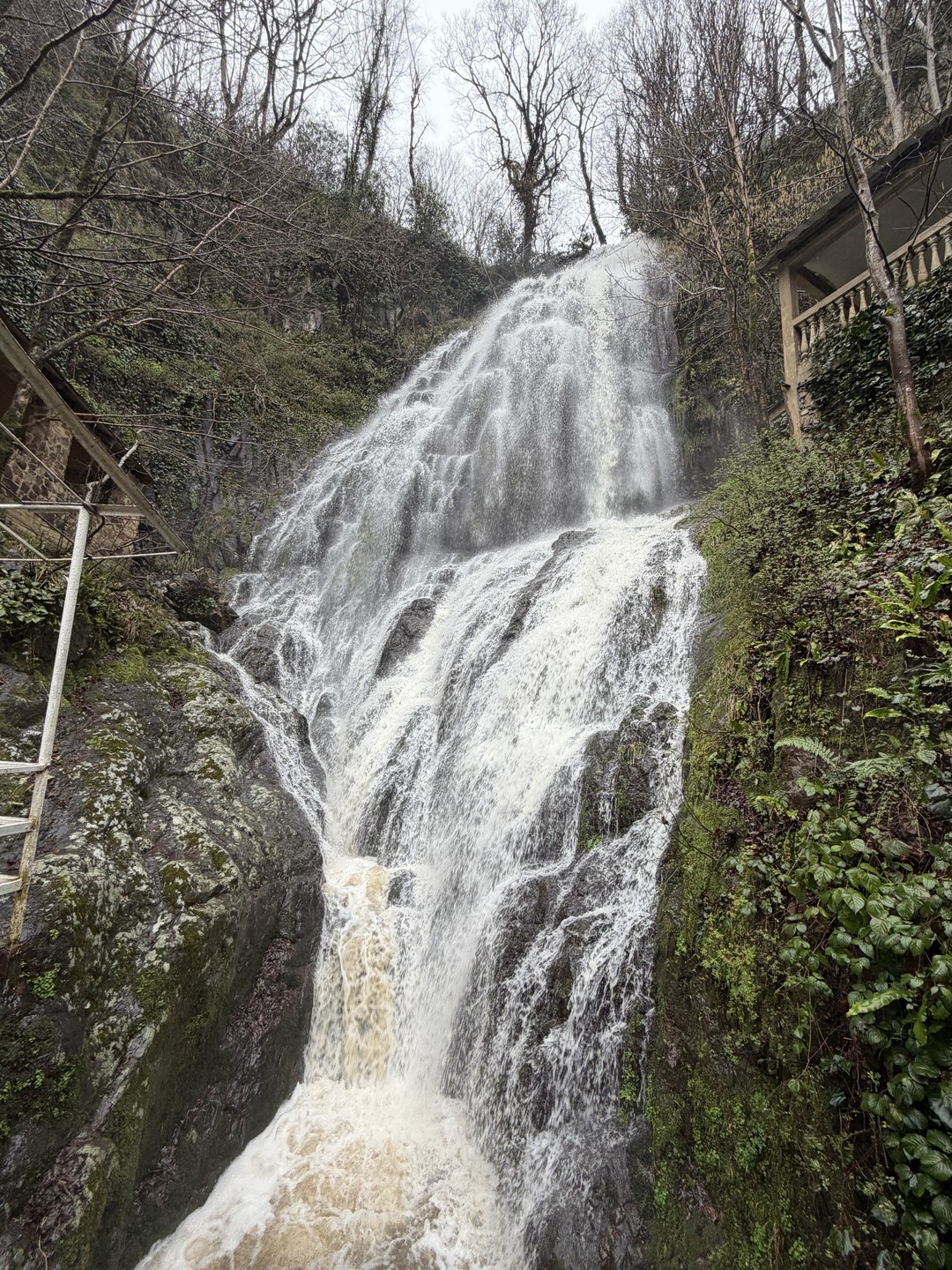 Отличная экскурсия! Был дождливый день, я единственная забронировала экскурсию, но поездка всё равно состоялась. Посмотрели горы