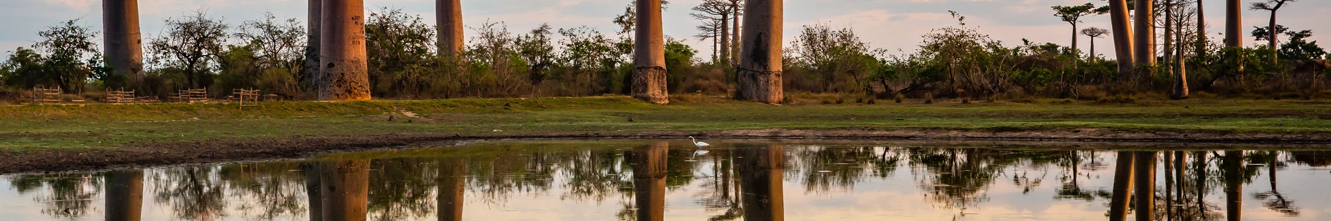 Мадагаскар