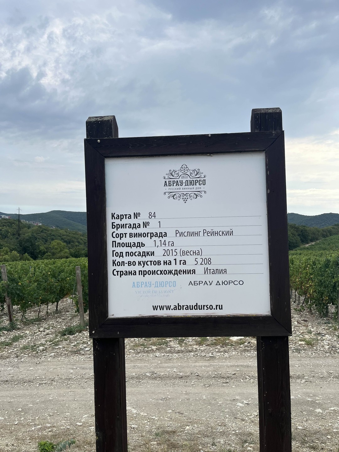 Абрау-Дюрсо, или Добро пожаловать в черноморскую Швейцарию (Елена)