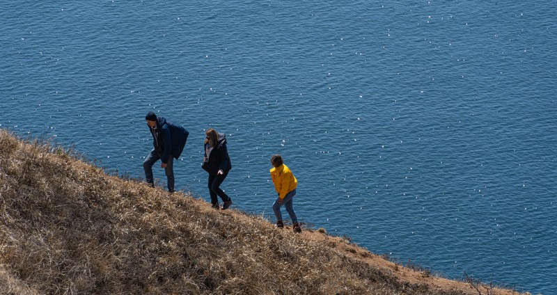 Виды На остров Шкота — с фотографом