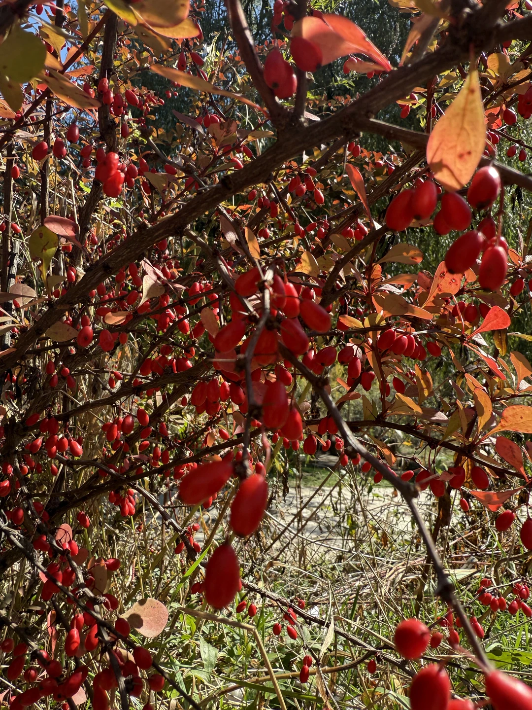 Благодарю за погружение в историю. Гид Николай провел экскурсию на одном дыхании. Настоящее путешествие во времени