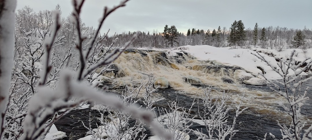Веселые шутки, красивые места, лёгкие и живописные маршруты. Все экскурсия проходила спокойно без спешки.
