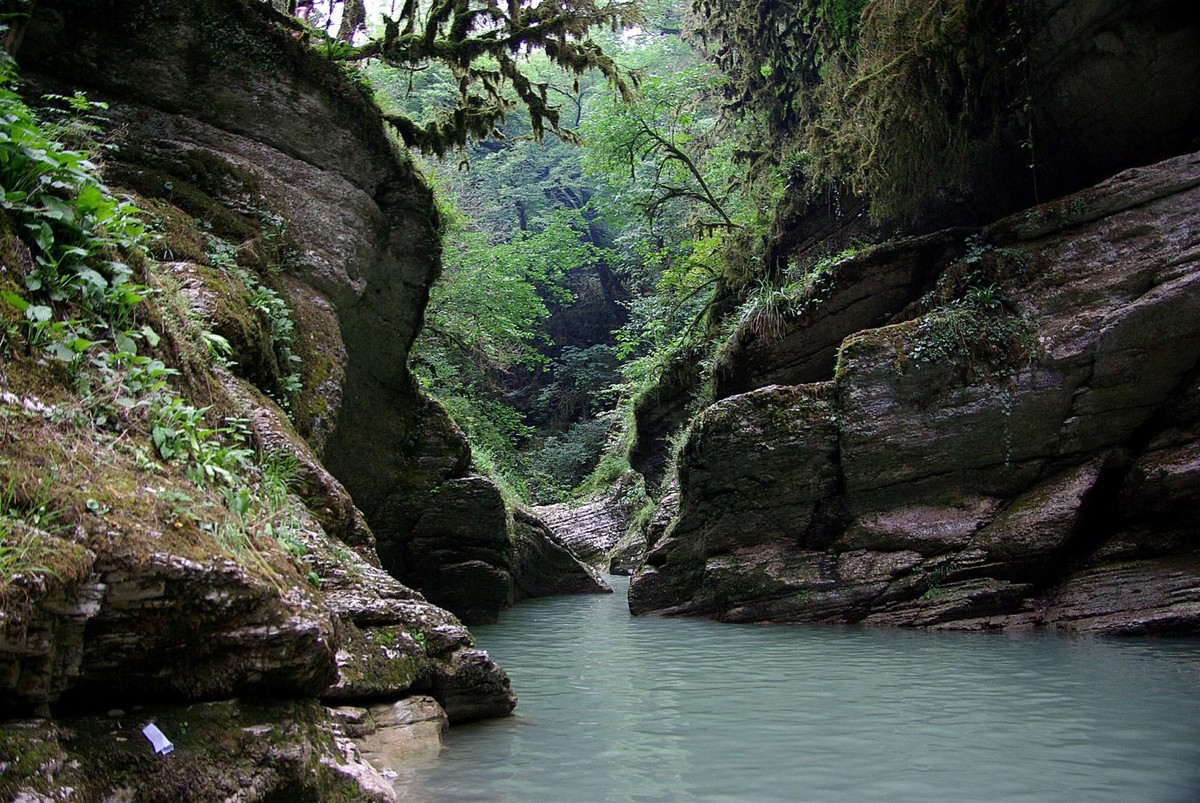 Заповедные места Хосты: хранители доисторической природы (5/7)