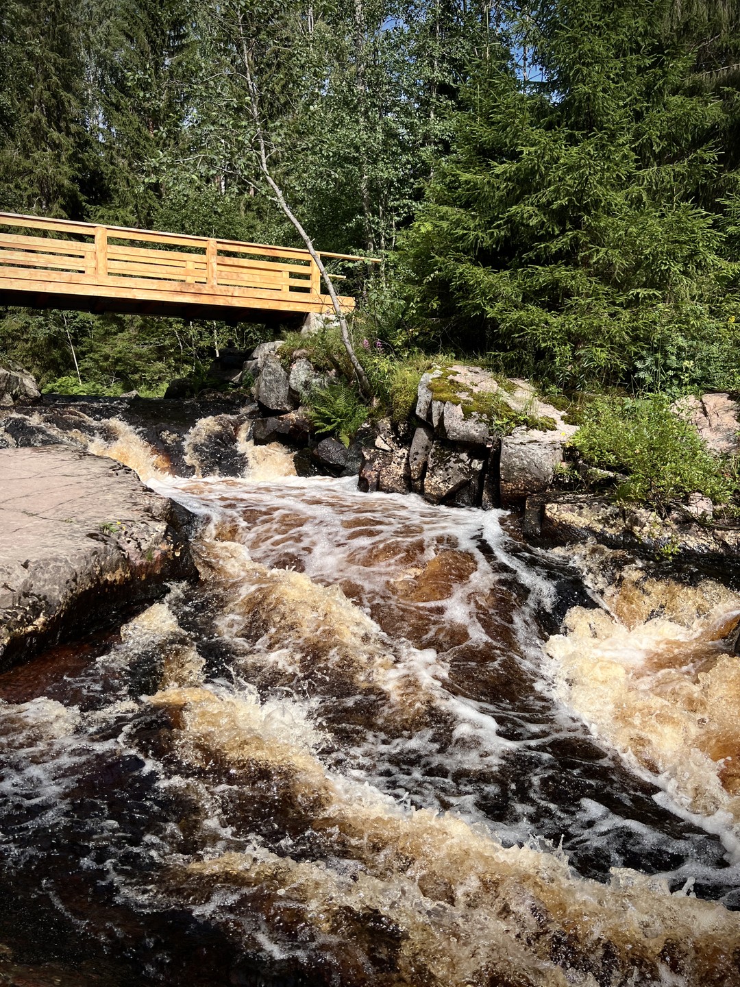 Путешествовали компанией из четырёх человек и остались очень довольны поездкой! 🌿