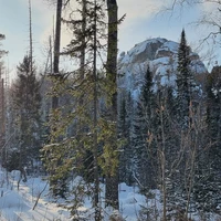Фото отзыва 2: экскурсия "Столбы — магия Сибири"