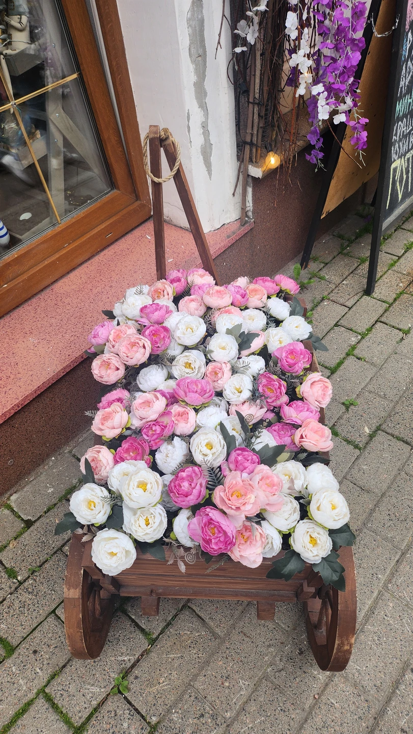 Замок и улочки средневекового Выборга (Светлана)