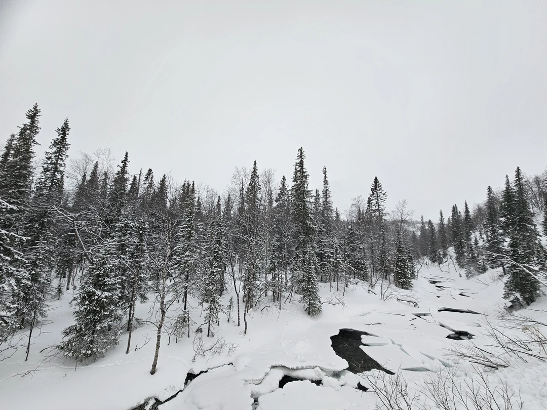 Комфортный транспорт, опытный, хороший Гид. Экскурсия хорошая, с погодой конечно не повезло было, но успели все посмотреть. Спасибо большое